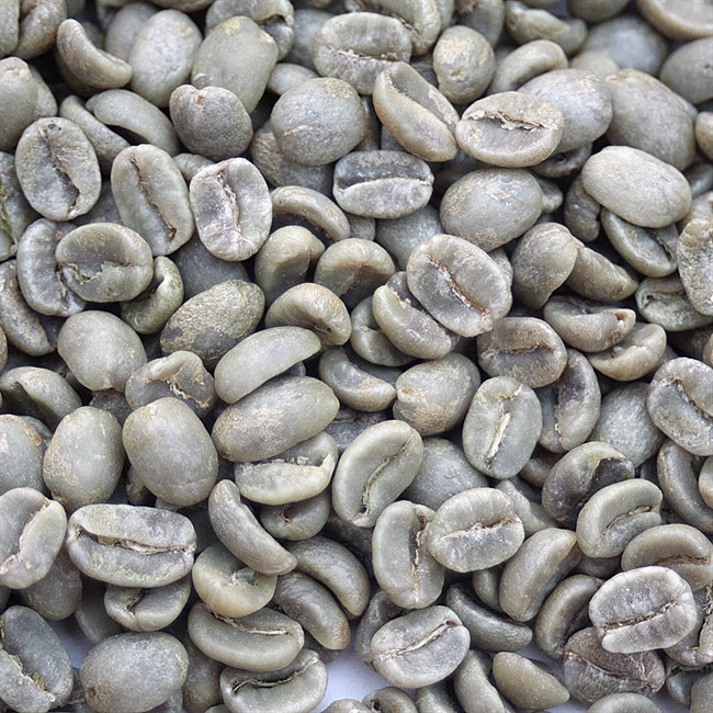 Costa Rica La Minita Tarrazu RFA