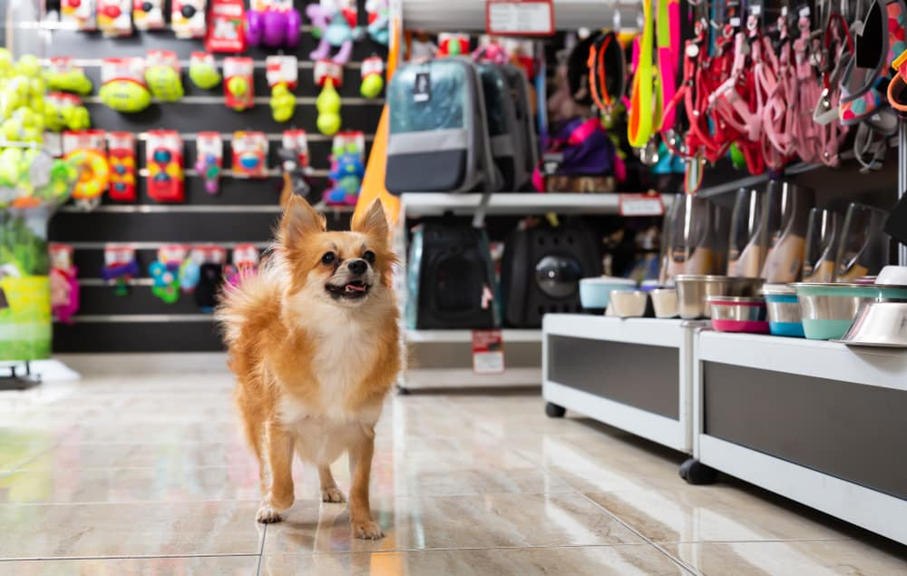 Best places to buy pet supplies online