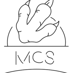 MCSDINO Coupons MCSDINO Coupons and Promo Code