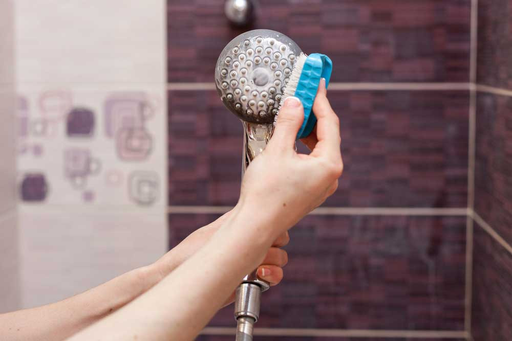 A Simple Guide to Shower Maintenance A Simple Guide to Shower Maintenance