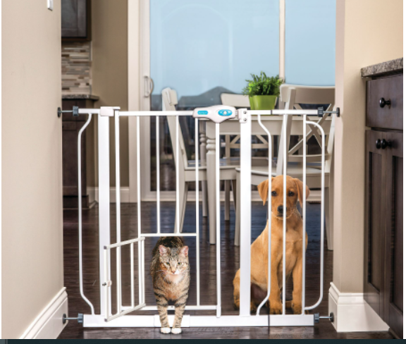 Extra wide gate with small pet door Extra wide gate with small pet door