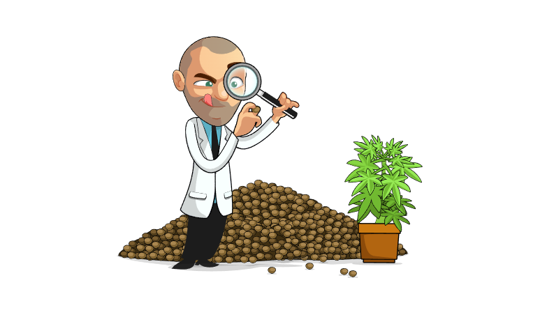 I Love Growing Marijuana