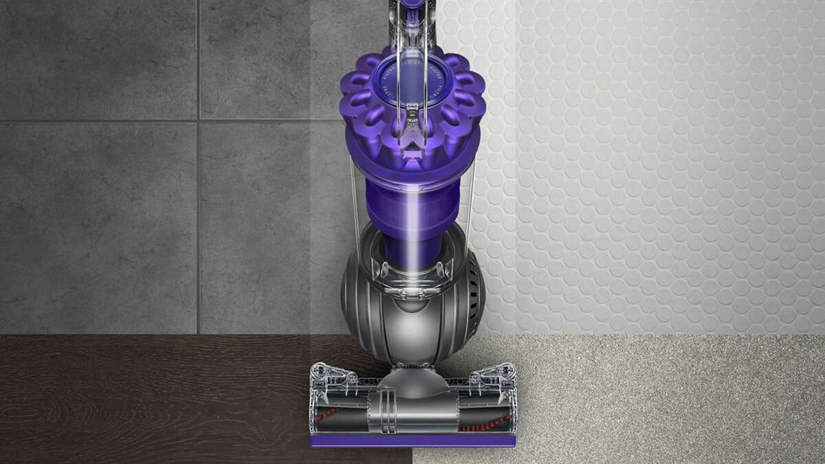 Dyson Animal