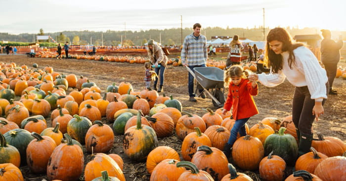 Pumpkin Patch Event - couponupto.com 