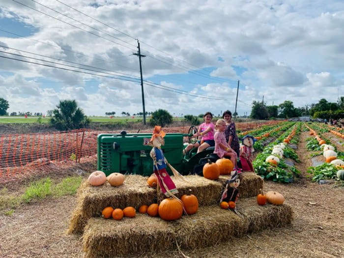 Best pumpkin patches in Florida - couponupto.com
