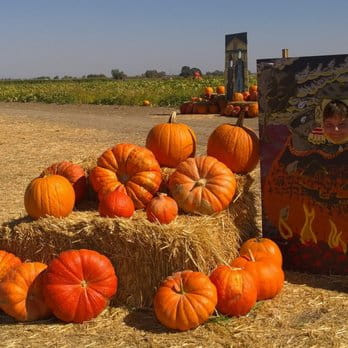 Best Pumpkin Patches in Sacramento - couponupto.com 