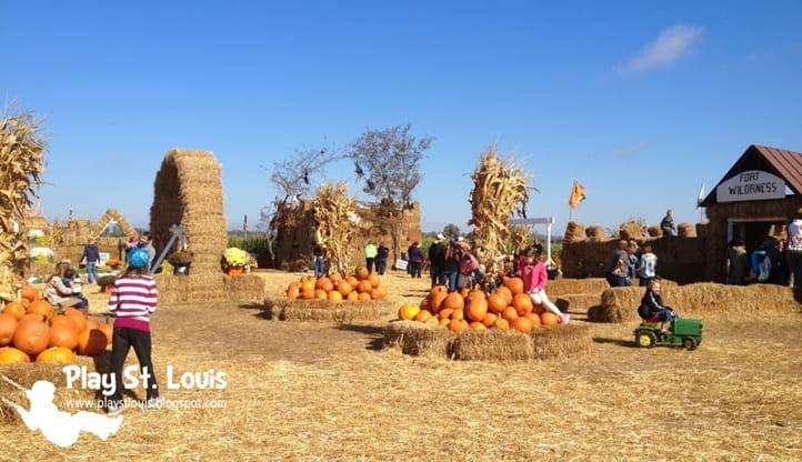 Best Pumpkin Patches in St. Louis - couponupto.com