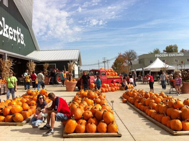 Best Pumpkin Patches in St. Louis - couponupto.com