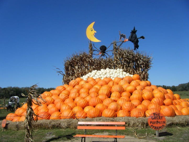 Best Pumpkin Patches in St. Louis - couponupto.com
