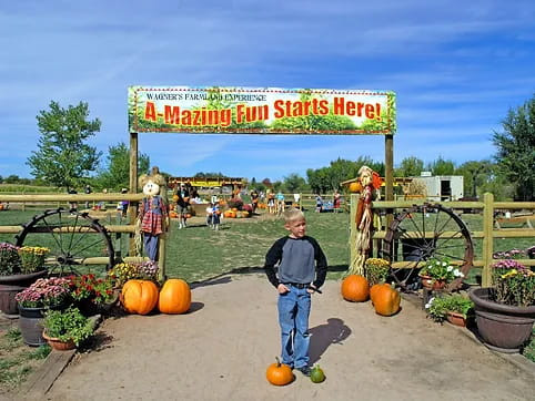 Pumpkin patches in New Mexico - couponupto.com 