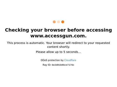 Accessgun.com Coupons and Promo Code