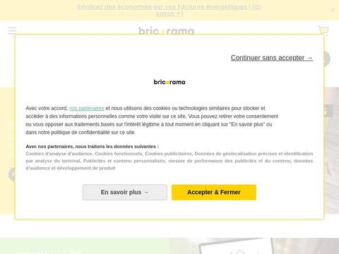 Bricorama Coupons and Promo Code