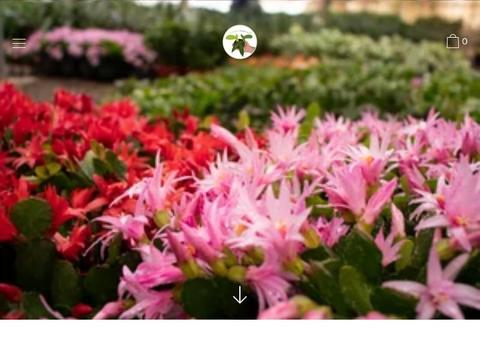 California Tropicals Coupons and Promo Code