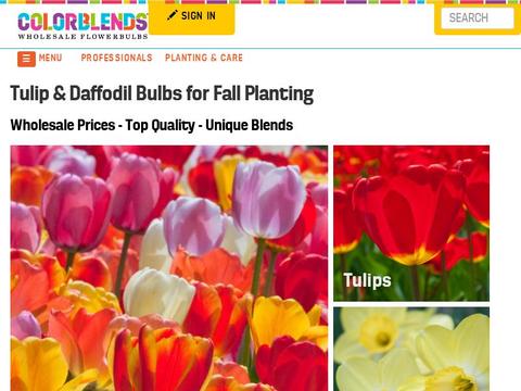 Colorblends.Com Coupons and Promo Code