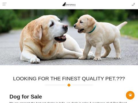 Dogforsale.in Coupons and Promo Code