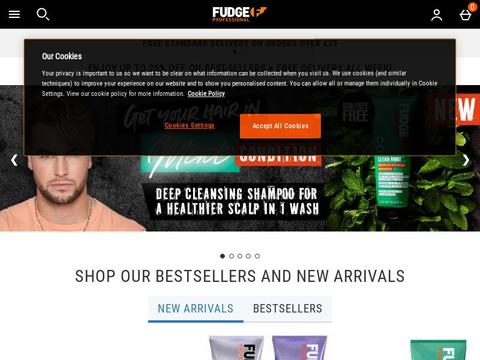 Fudgeprofessional.Com Coupons and Promo Code