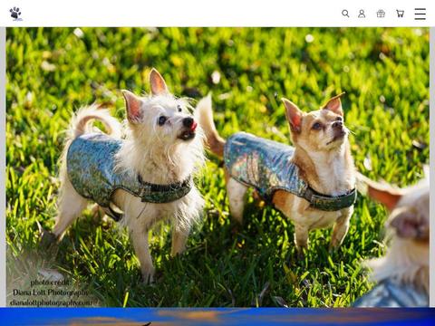 PawsitiveInnovations.com Coupons and Promo Code