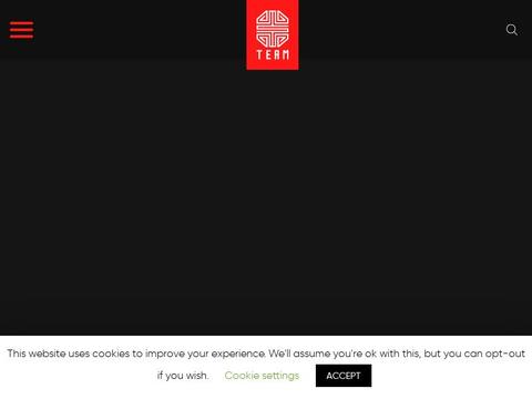 TT-TEAM Coupons and Promo Code