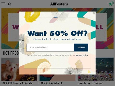 Allposters.Com Coupons and Promo Code
