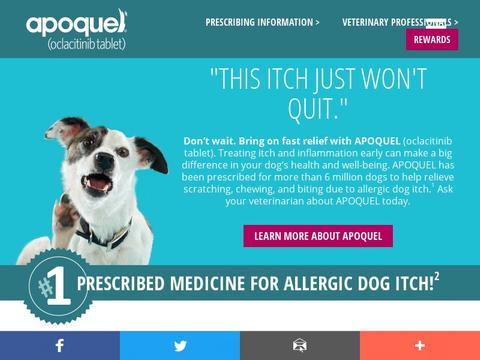 Apoquel Dog Coupons Apoquel Dog Coupons and Promo Code