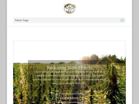 Budbuddies.Co.Uk Coupons and Promo Code