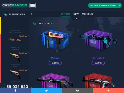 Caserandom Coupons and Promo Code