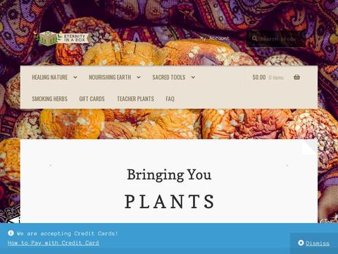 Eternity In A Box Coupons and Promo Code